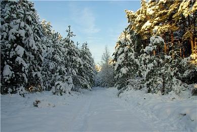 送PS5游戏机！参与3DM游戏APP有奖活动赢好礼