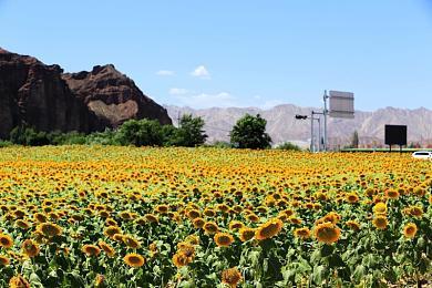 光荣宣布将再次提高员工的平均工资 这已是第八次